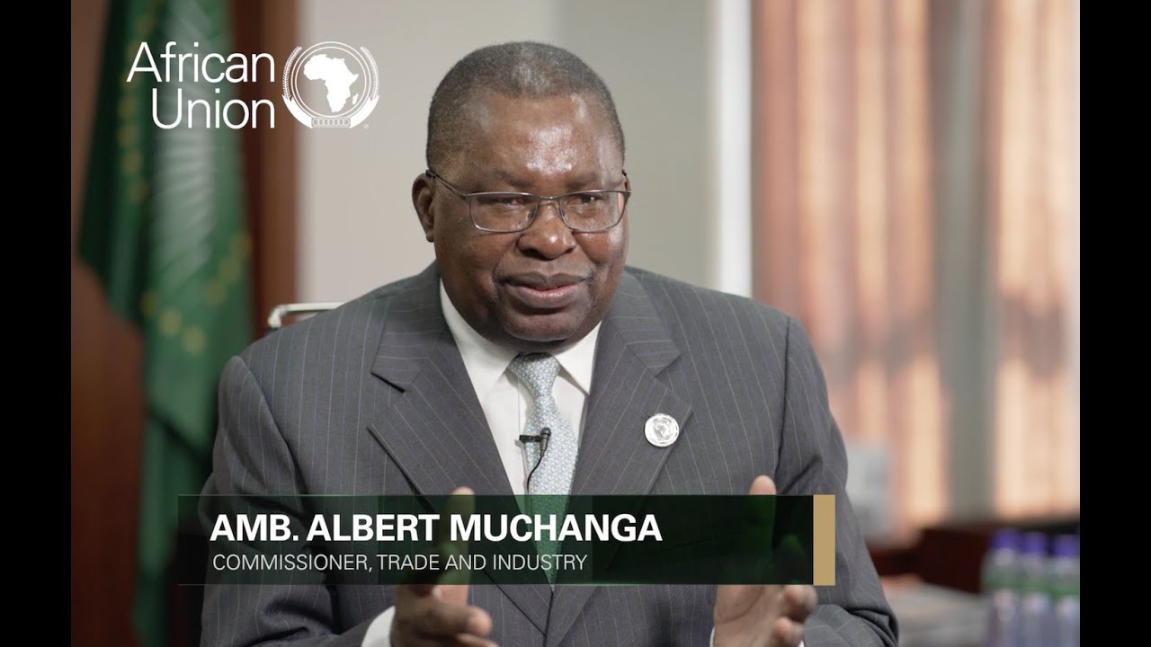 Closing Statement by Albert Muchanga  African Union Commissioner for Economic Development, Trade, Industry and Mining  Delivered at  Senior Officials